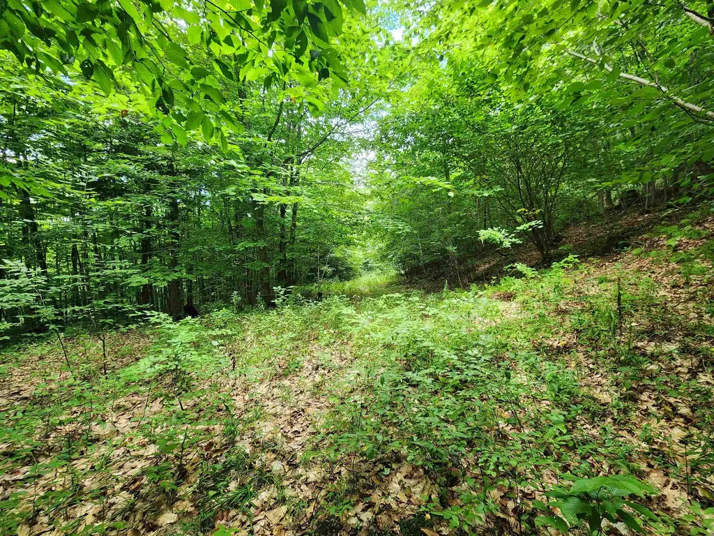 00 Eaton Avenue Springfield VT 05156