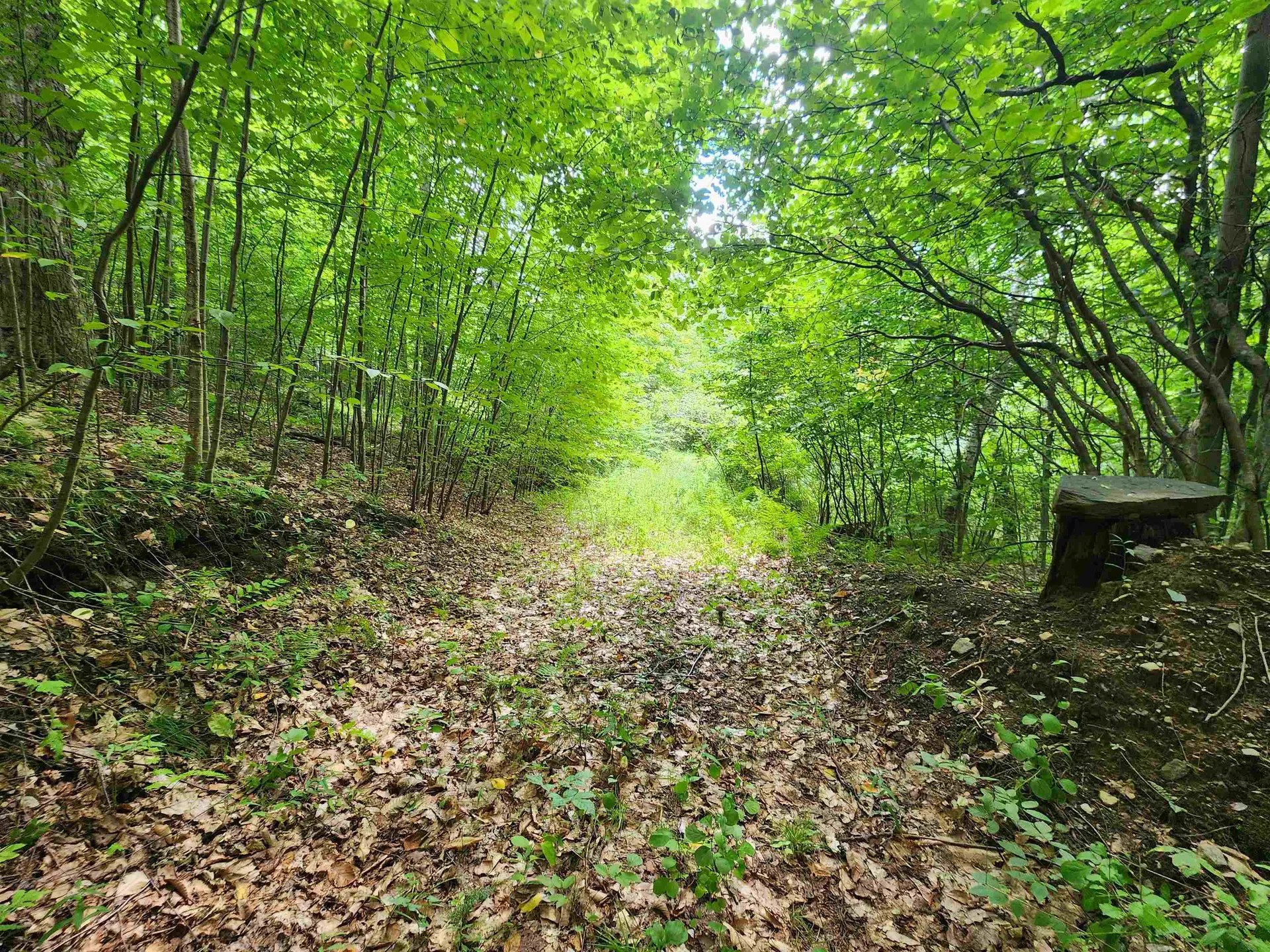 00 Eaton Avenue Springfield VT 05156