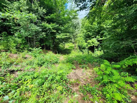 00 Eaton Avenue Springfield VT 05156