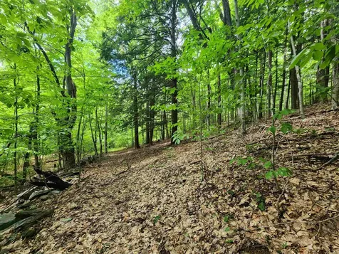 00 Eaton Avenue Springfield VT 05156