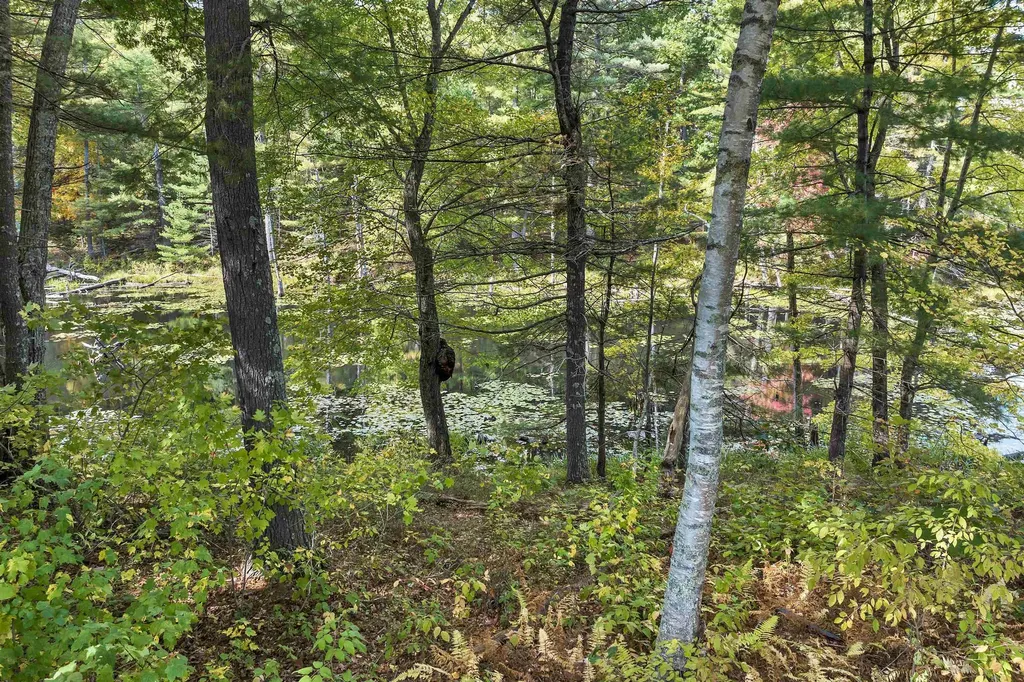 1 Marie Lane Hudson NH 03051