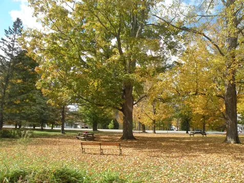 16 Starbird Road Jericho VT 05465