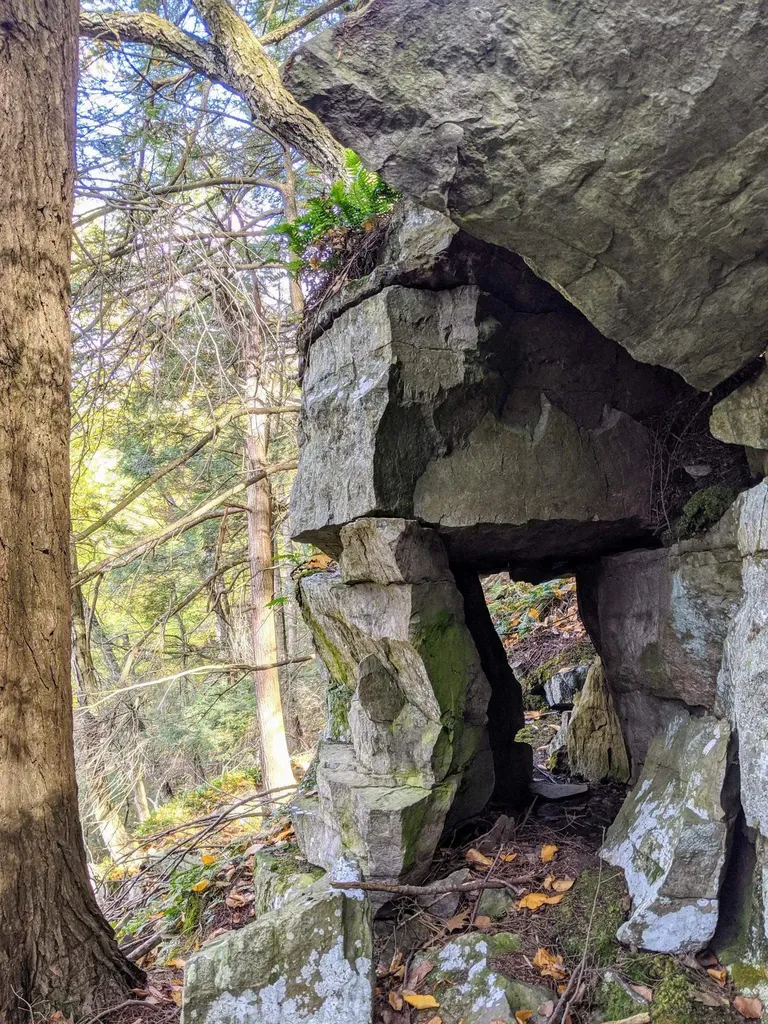 00 Briggs Hill Road Bristol VT 05443