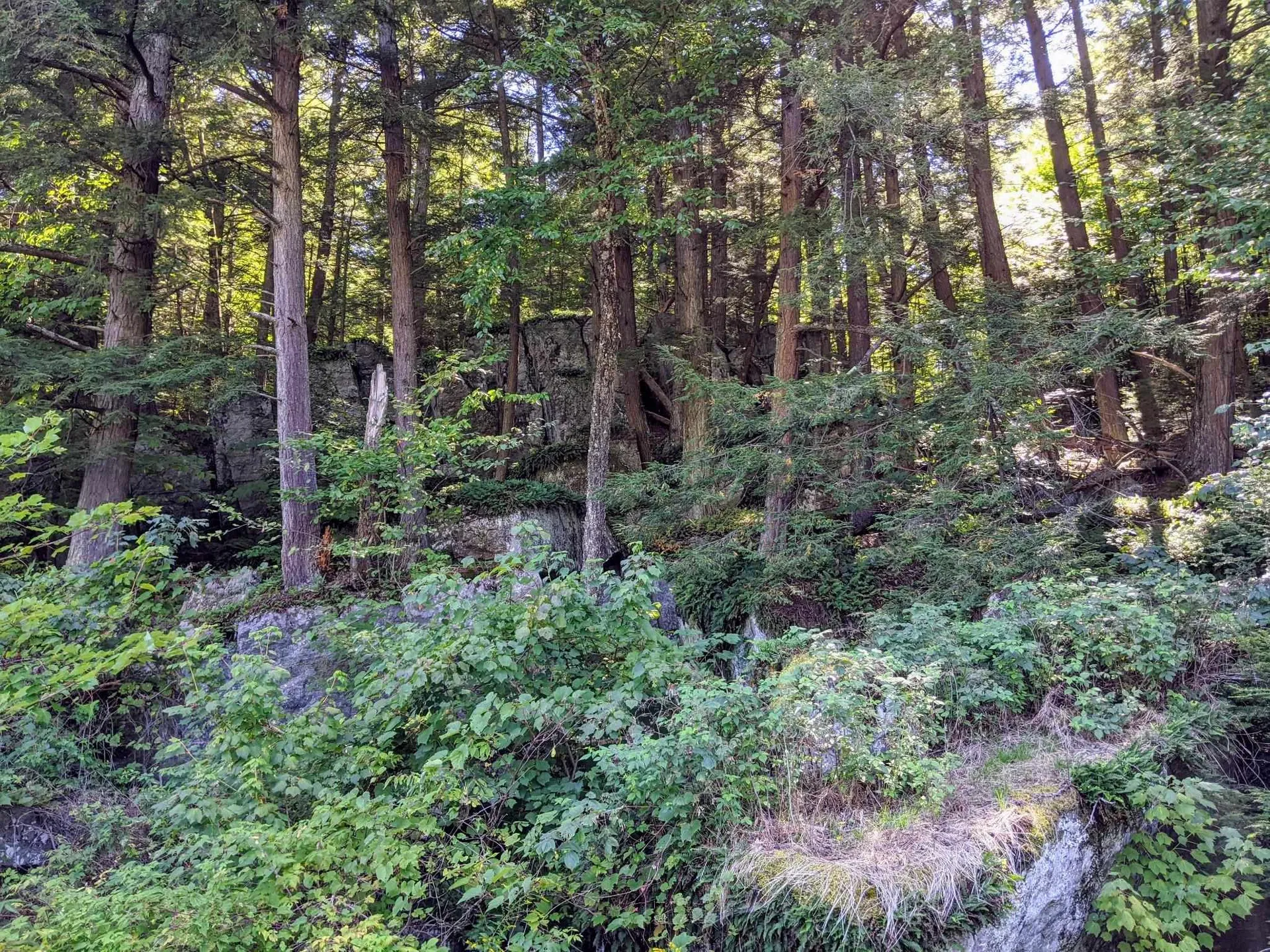 00 Briggs Hill Road Bristol VT 05443