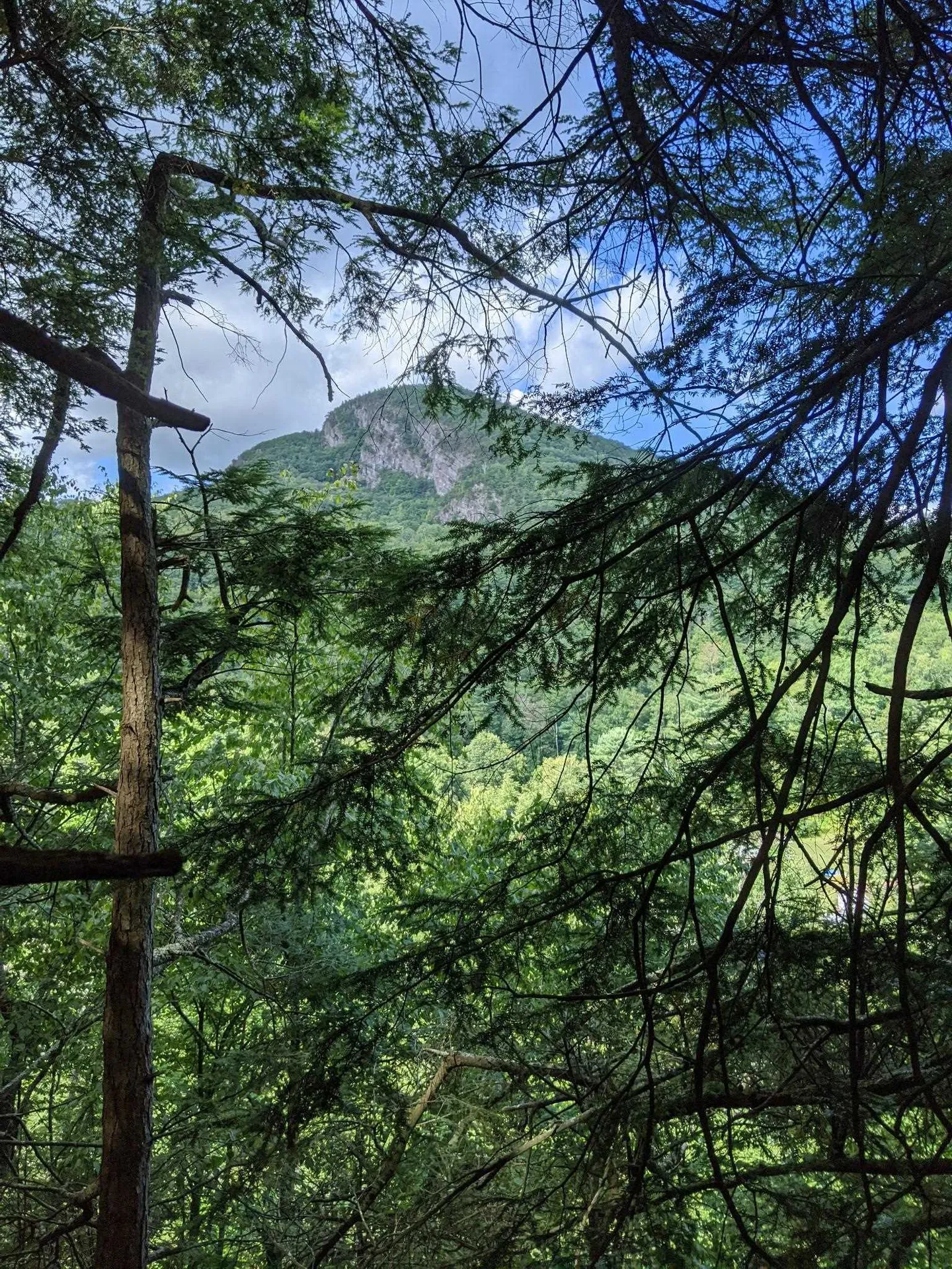 00 Briggs Hill Road Bristol VT 05443