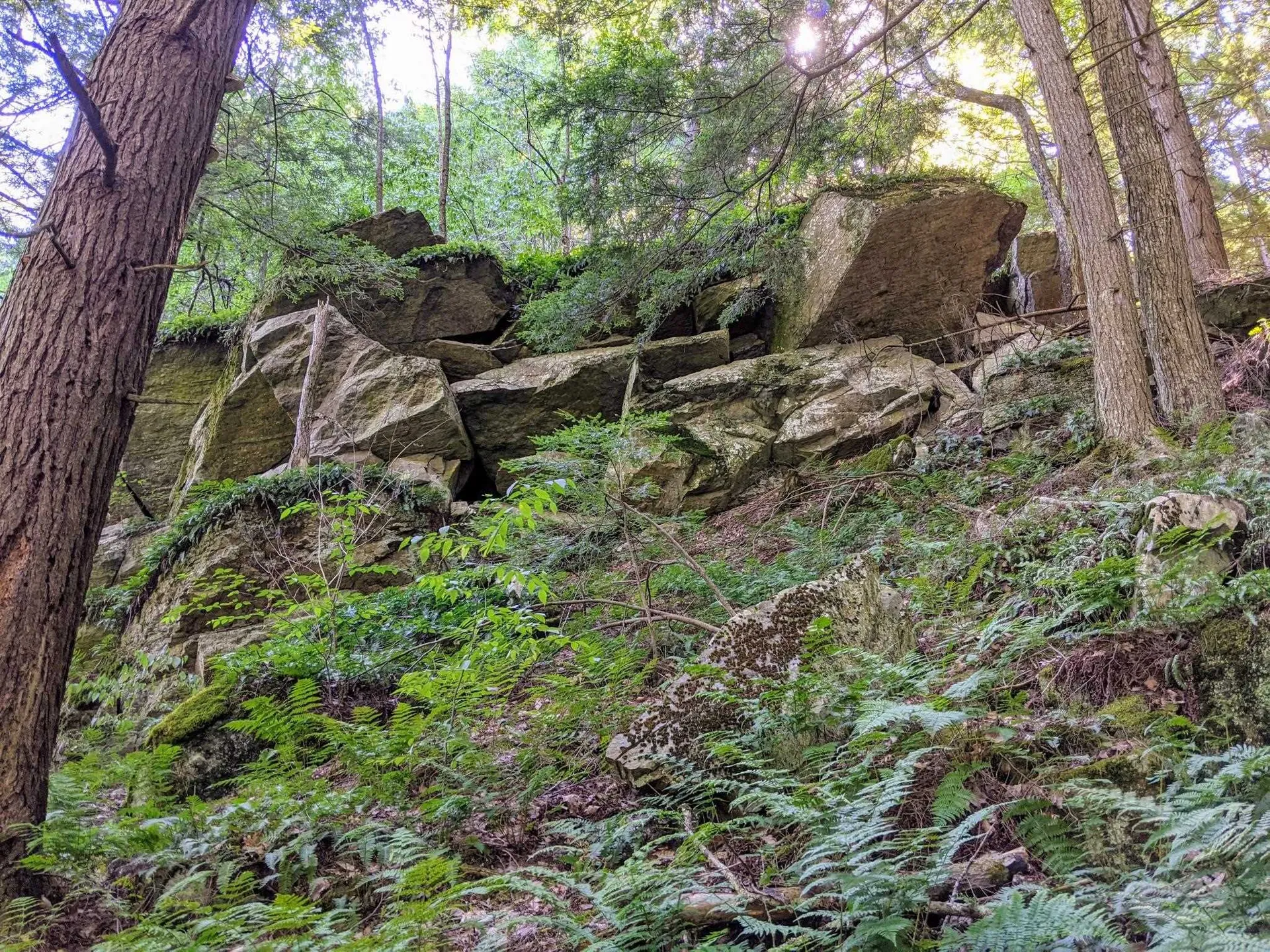 00 Briggs Hill Road Bristol VT 05443