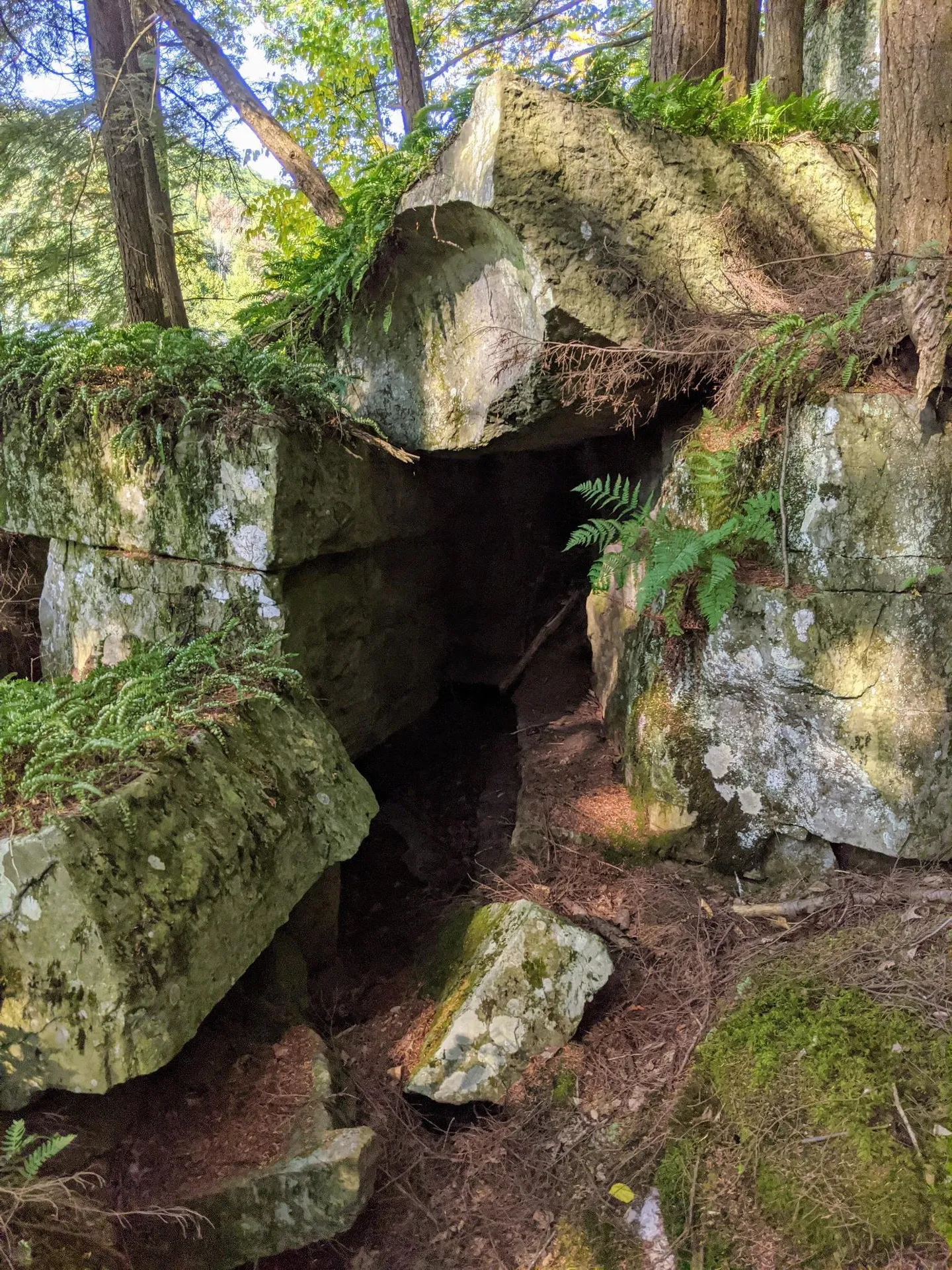 00 Briggs Hill Road Bristol VT 05443