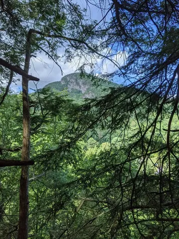 00 Briggs Hill Road Bristol VT 05443