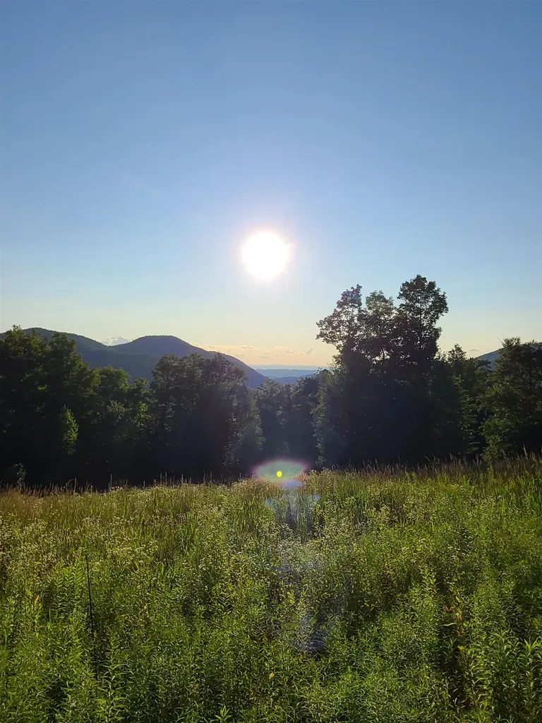 1000 Bear Mountain Camp Road Rupert VT 05776