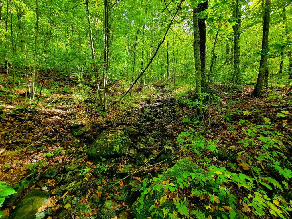 1000 Bear Mountain Camp Road Rupert VT 05776