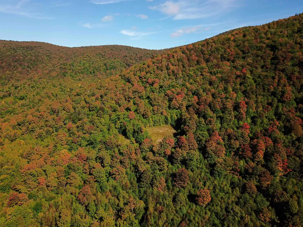 1000 Bear Mountain Camp Road Rupert VT 05776