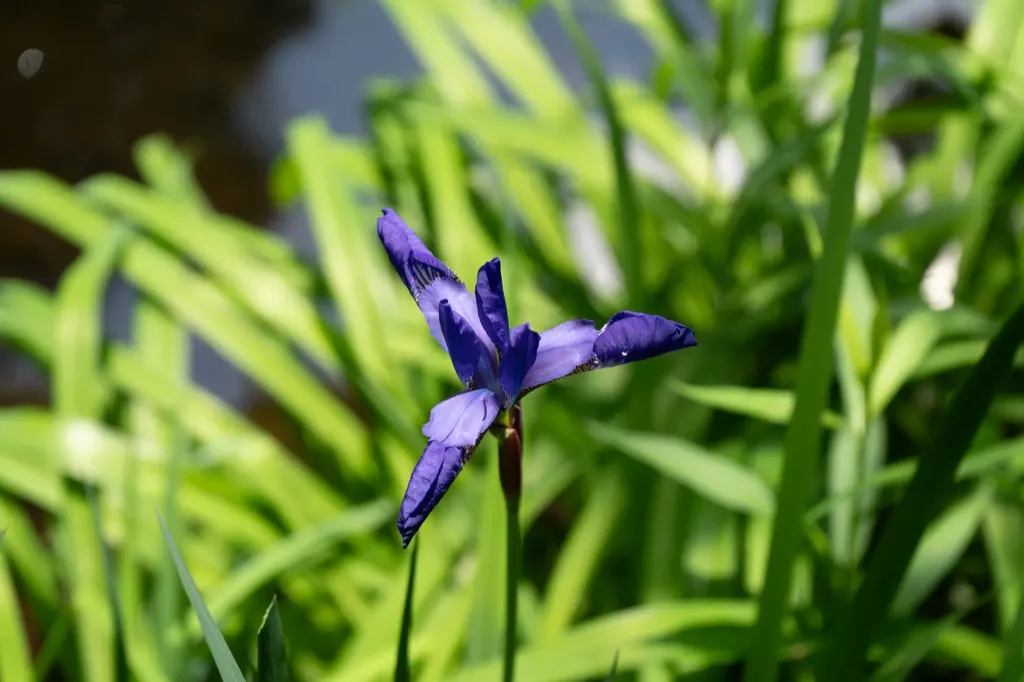 1000 Bear Mountain Camp Road Rupert VT 05776