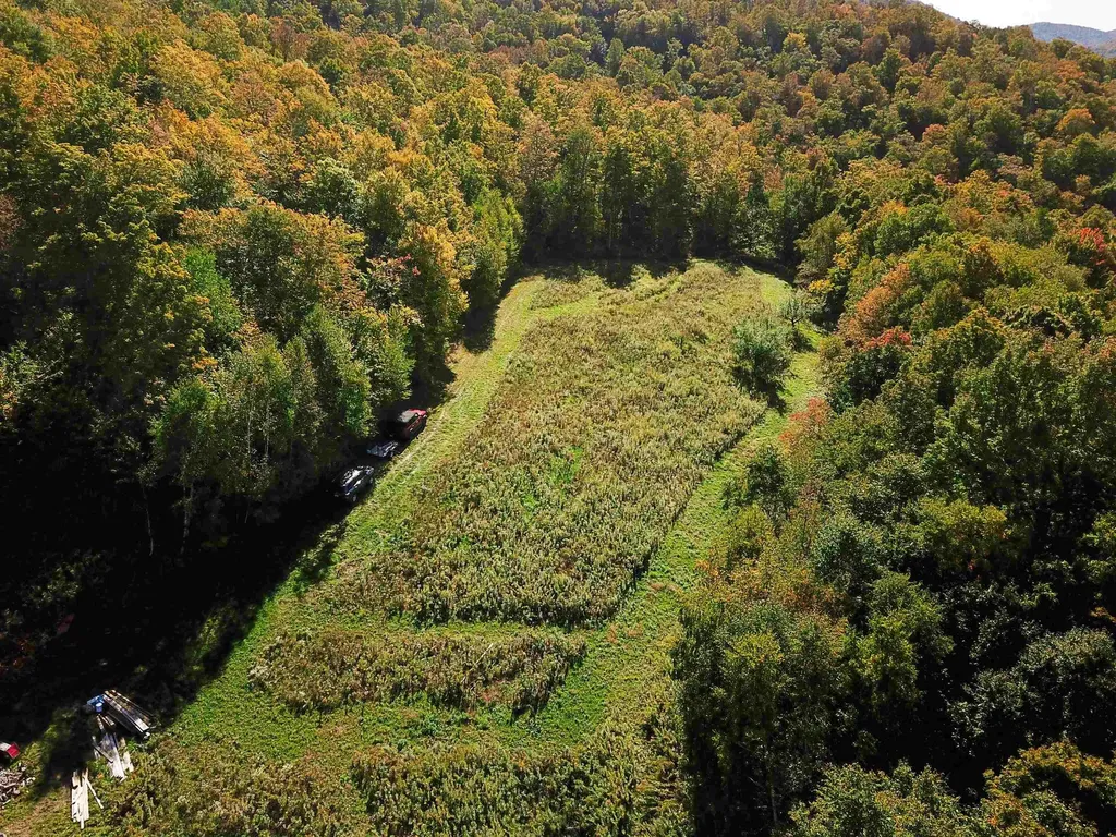 1000 Bear Mountain Camp Road Rupert VT 05776