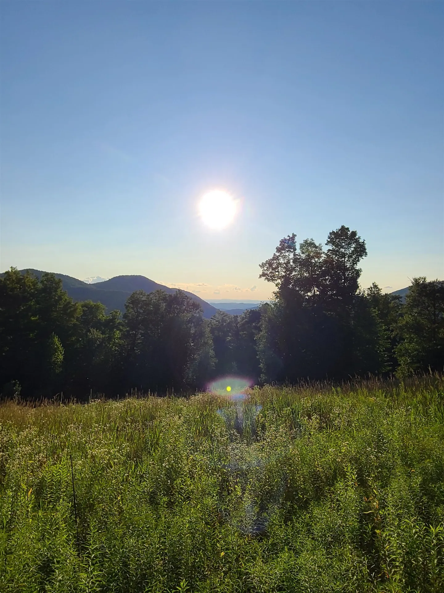 1000 Bear Mountain Camp Road Rupert VT 05776