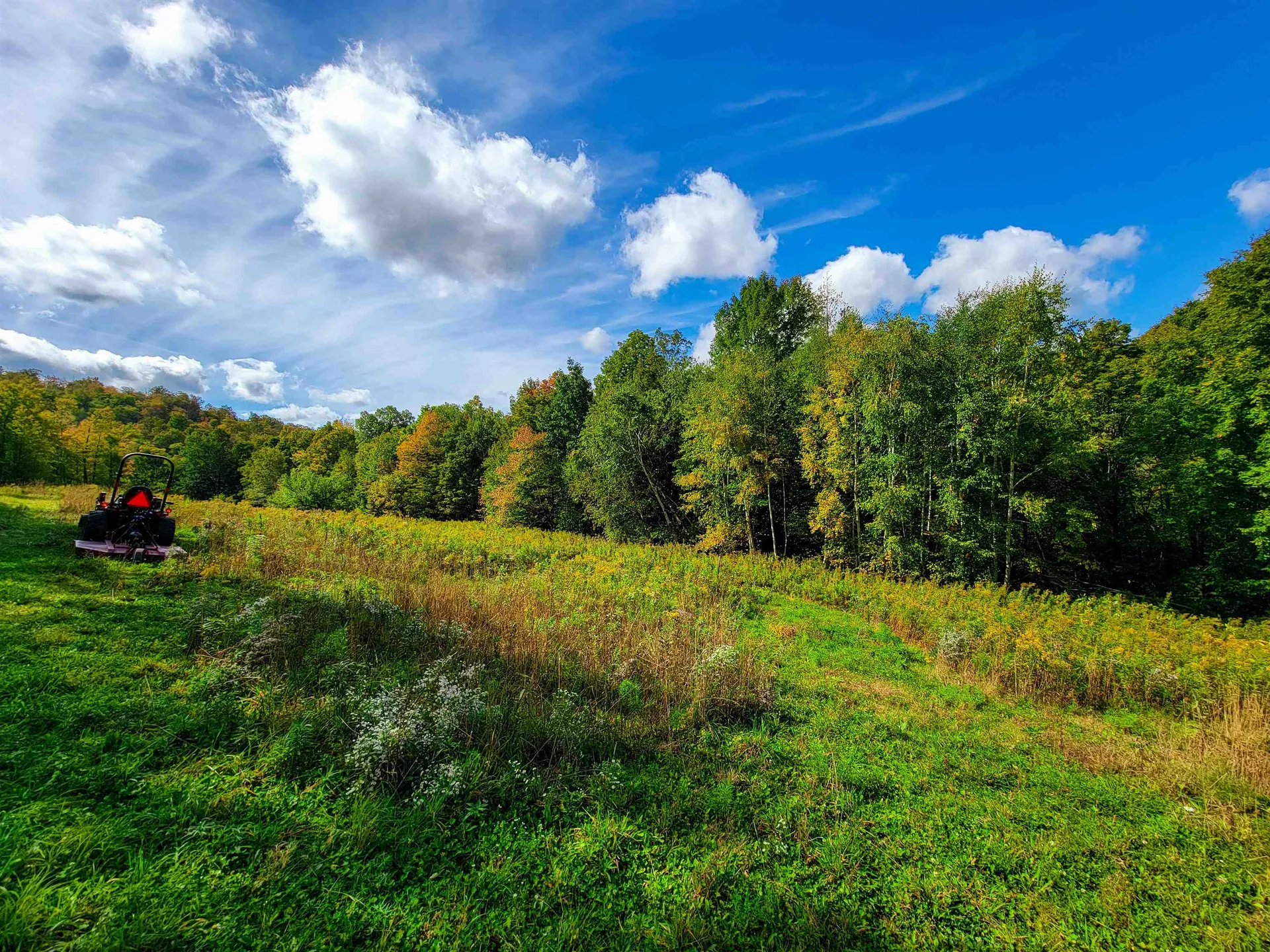 1000 Bear Mountain Camp Road Rupert VT 05776