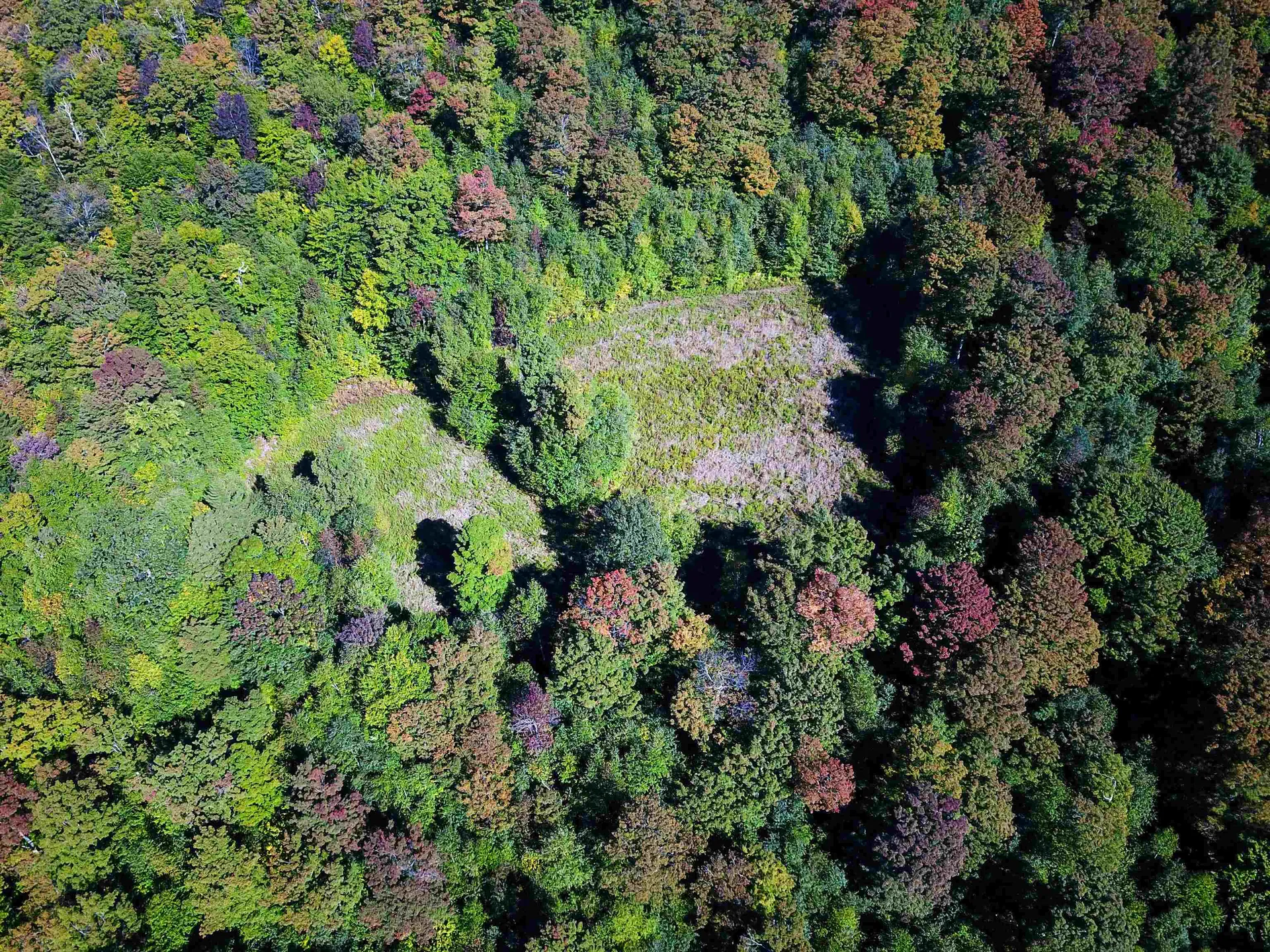 1000 Bear Mountain Camp Road Rupert VT 05776