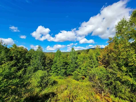 1000 Bear Mountain Camp Road Rupert VT 05776