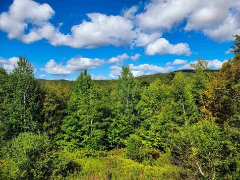 1000 Bear Mountain Camp Road Rupert VT 05776