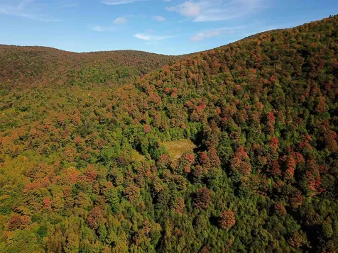 1000 Bear Mountain Camp Road Rupert VT 05776