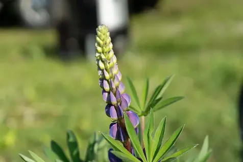 1000 Bear Mountain Camp Road Rupert VT 05776