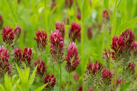 1000 Bear Mountain Camp Road Rupert VT 05776