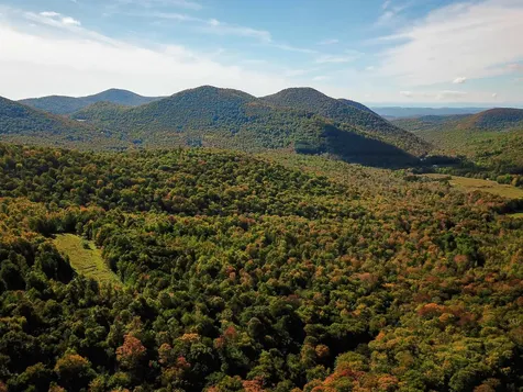 1000 Bear Mountain Camp Road Rupert VT 05776