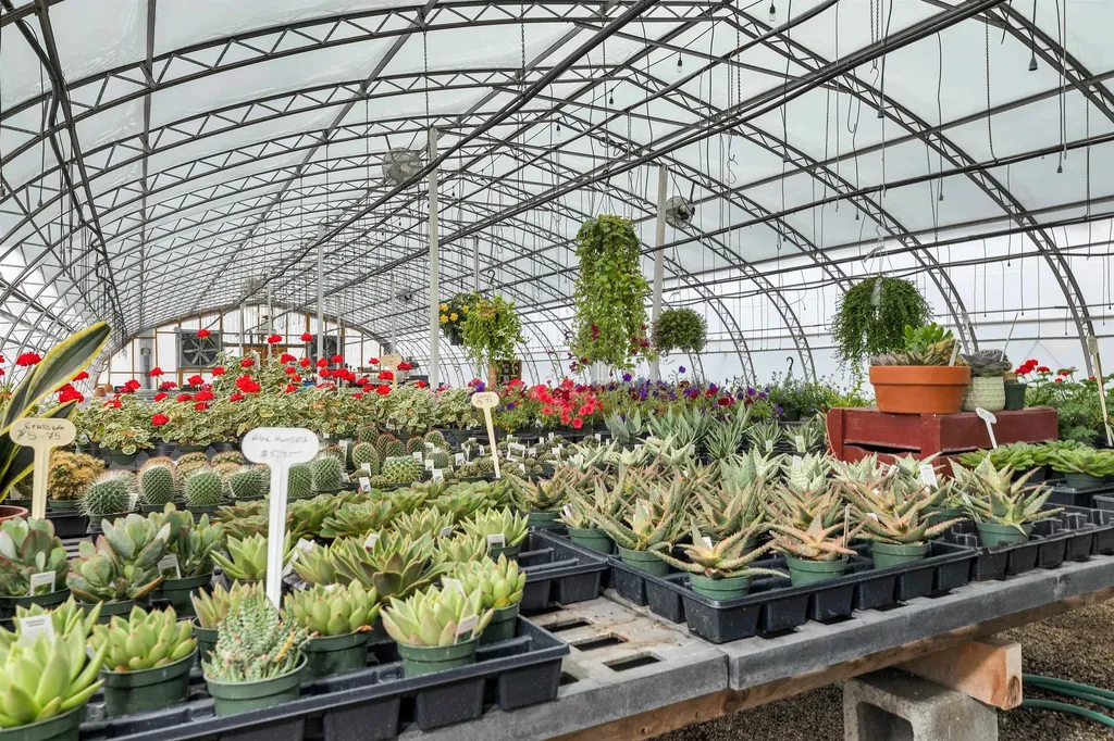 252 Middle Road Tuftonboro NH 03816