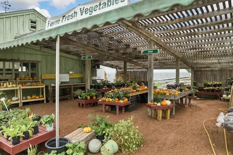 252 Middle Road Tuftonboro NH 03816