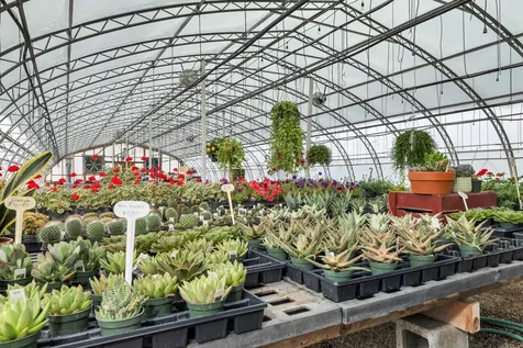 252 Middle Road Tuftonboro NH 03816