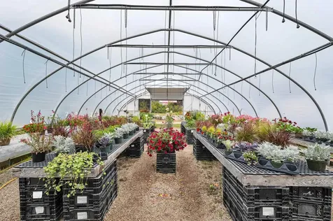 252 Middle Road Tuftonboro NH 03816