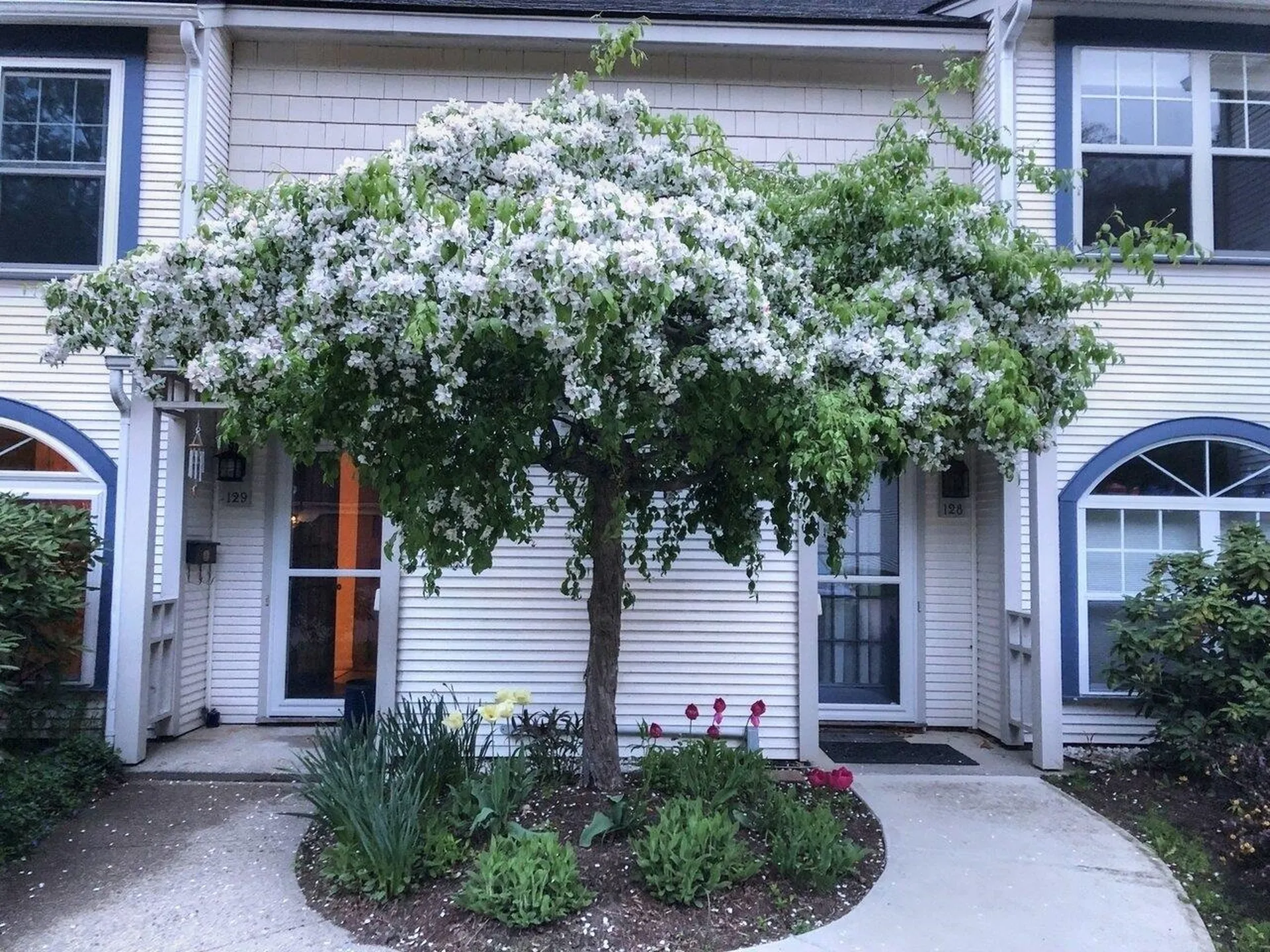 129 Northshore Drive Burlington VT 05408