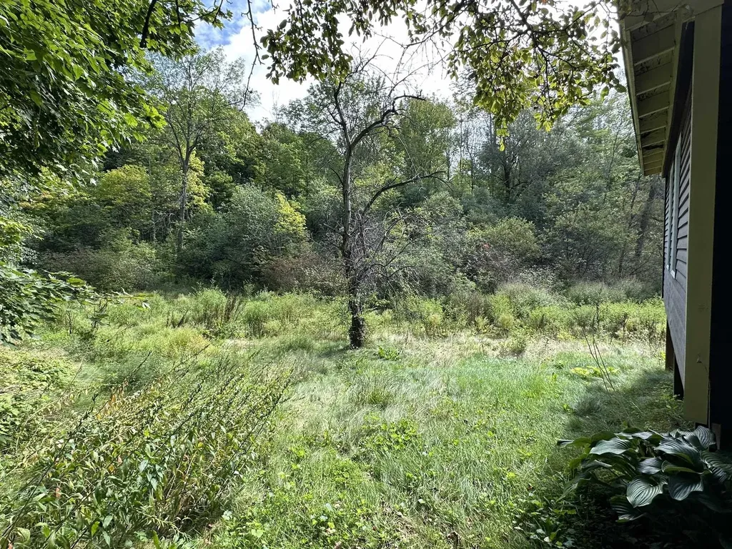 40 Franklin Street Brandon VT 05733