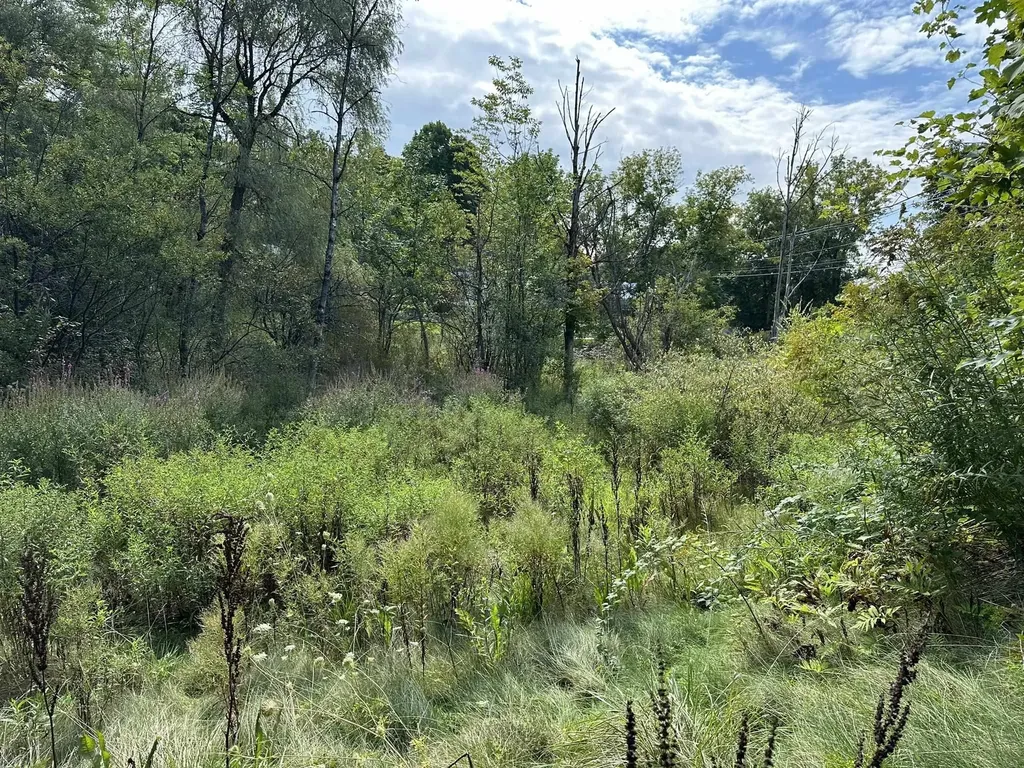 40 Franklin Street Brandon VT 05733