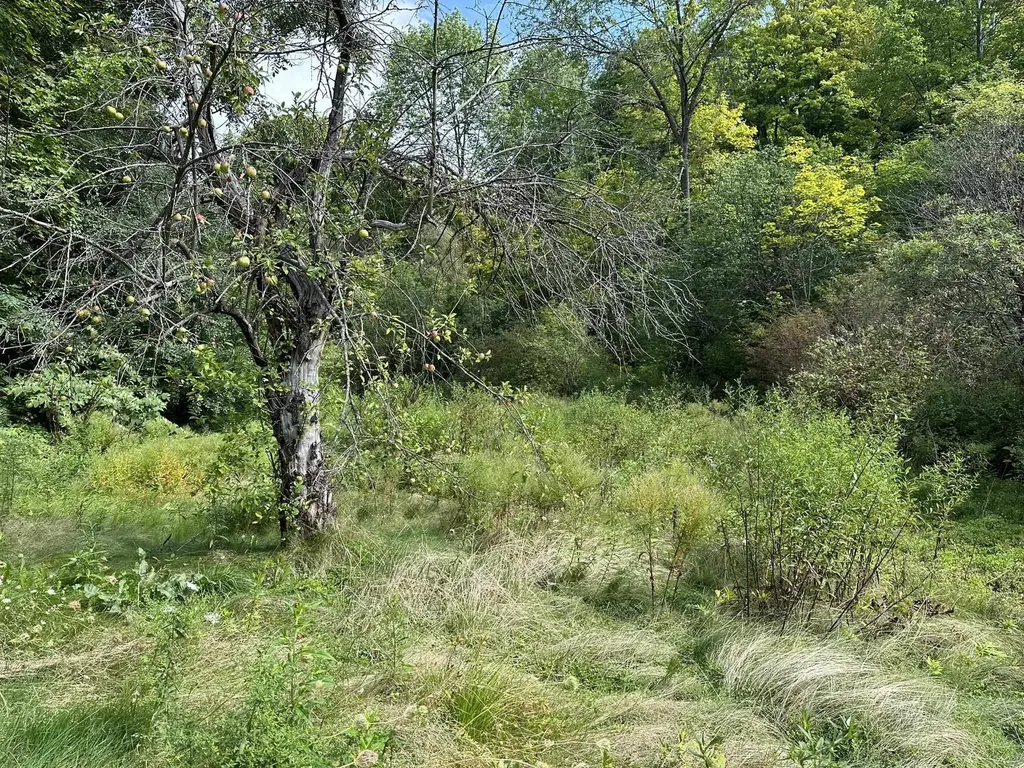 40 Franklin Street Brandon VT 05733