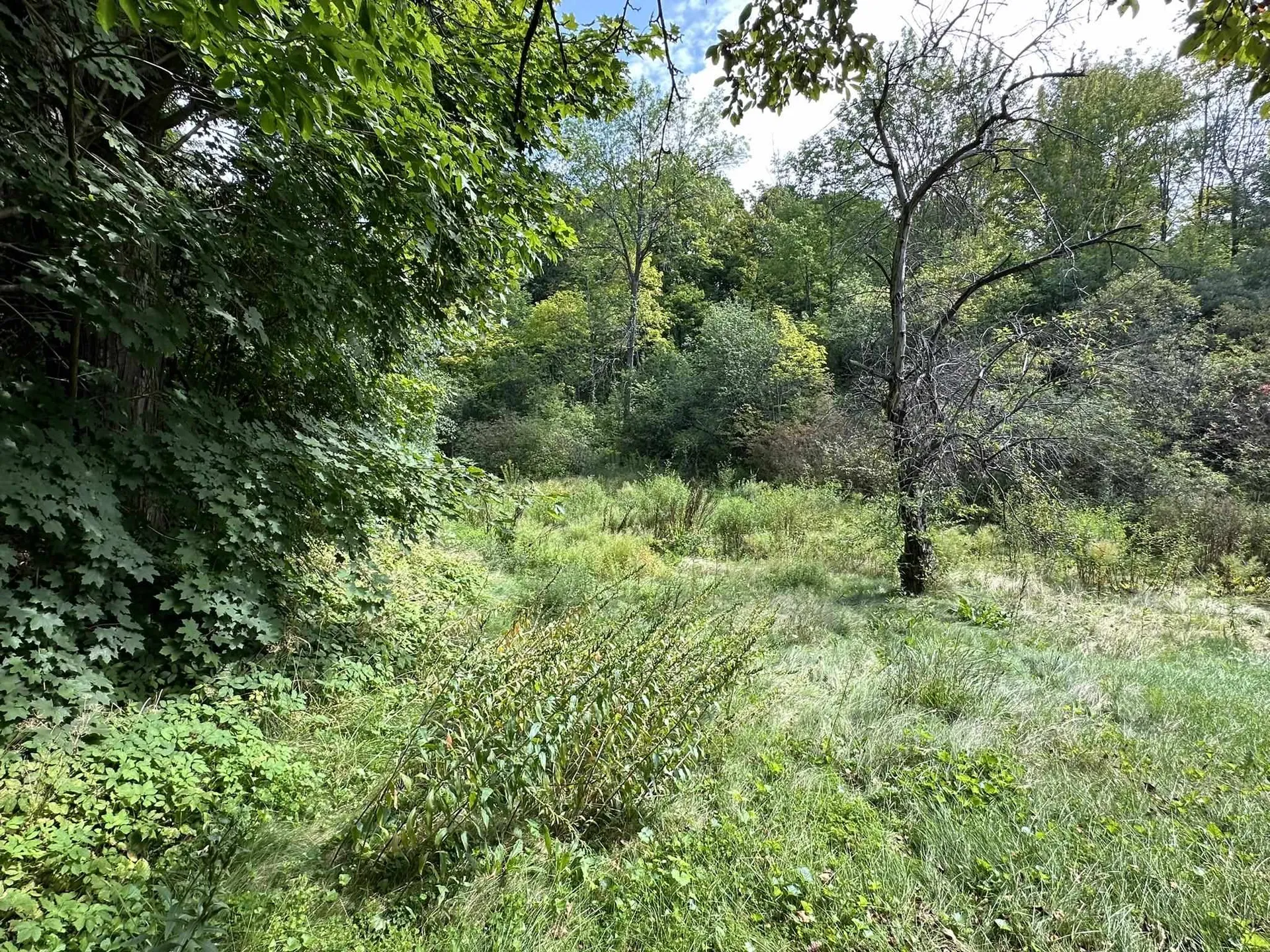 40 Franklin Street Brandon VT 05733