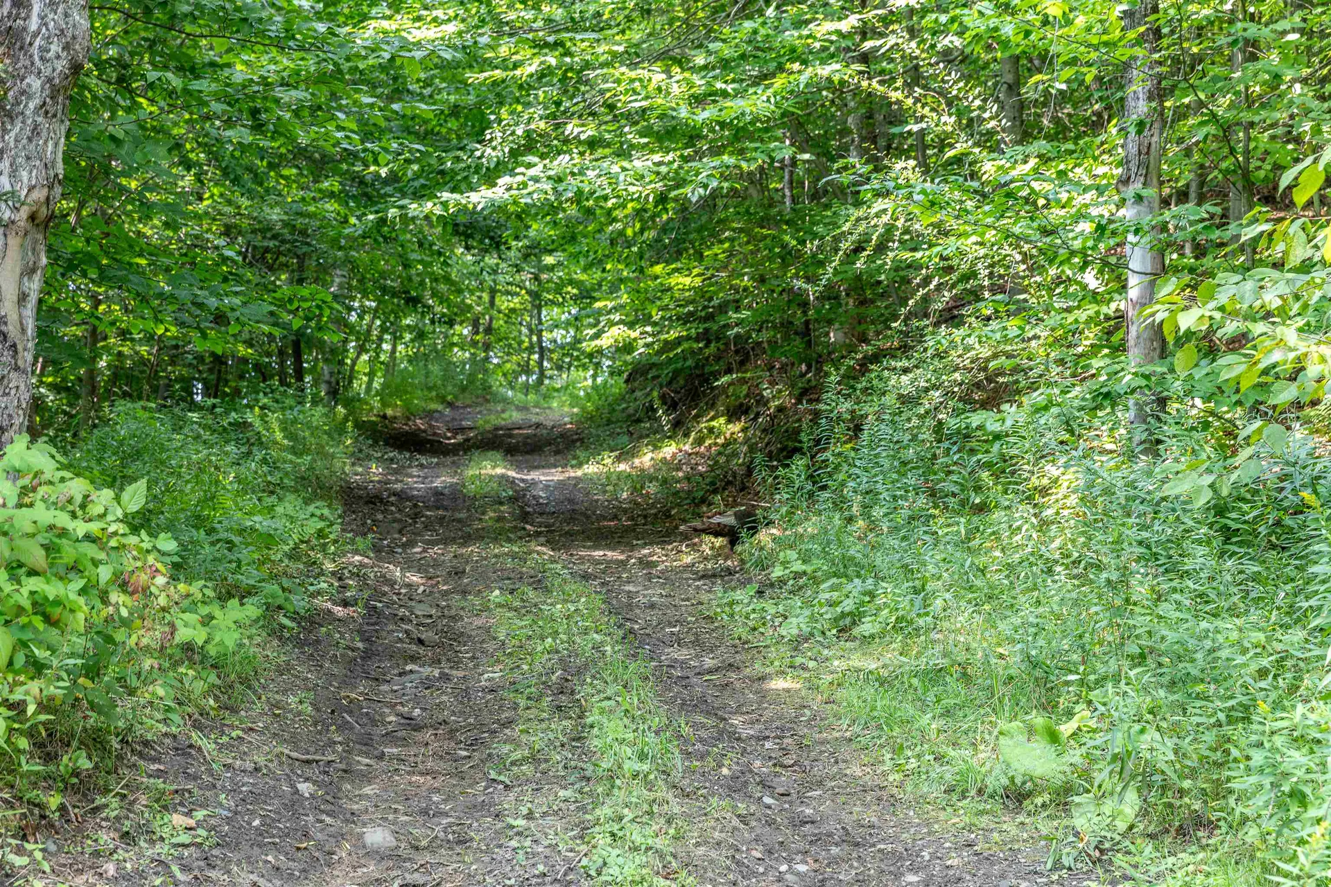 250 Moose Dog Hill Road Northfield VT 05663