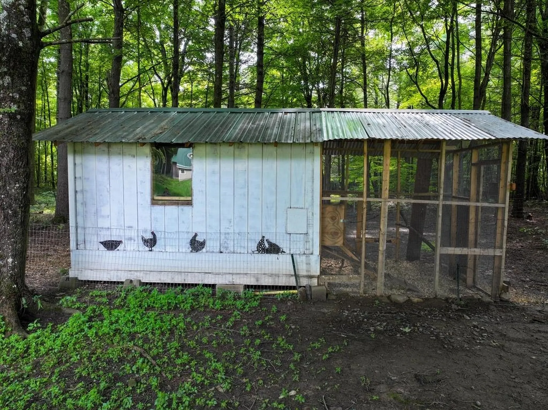 98 Stevens Orchard Road Orwell VT 05760