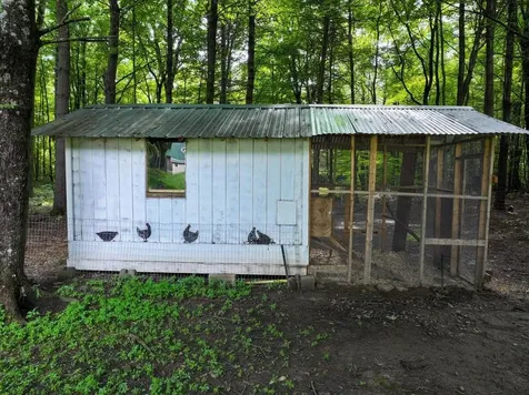 98 Stevens Orchard Road Orwell VT 05760