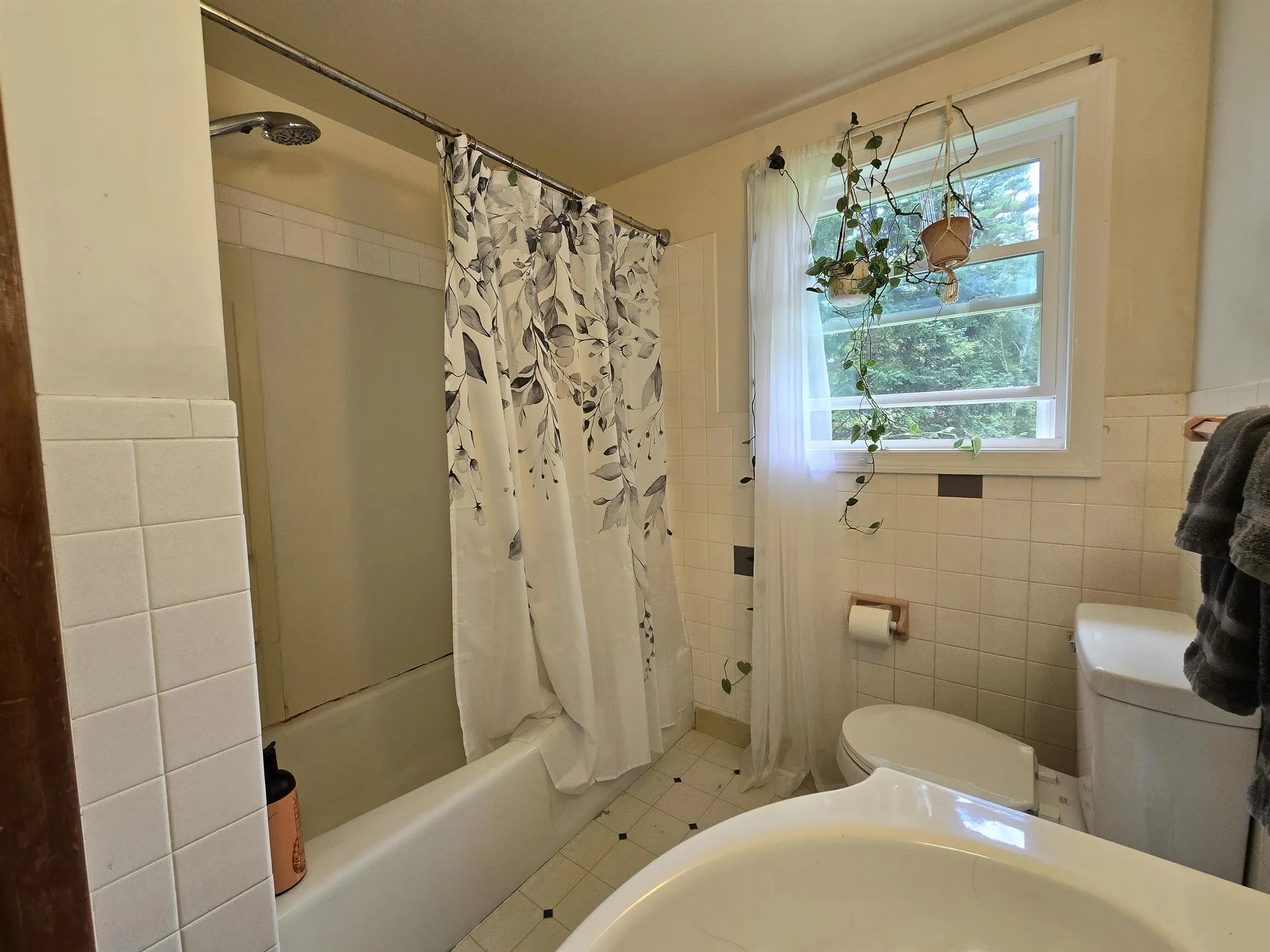 101 Range Road Alton NH 03809