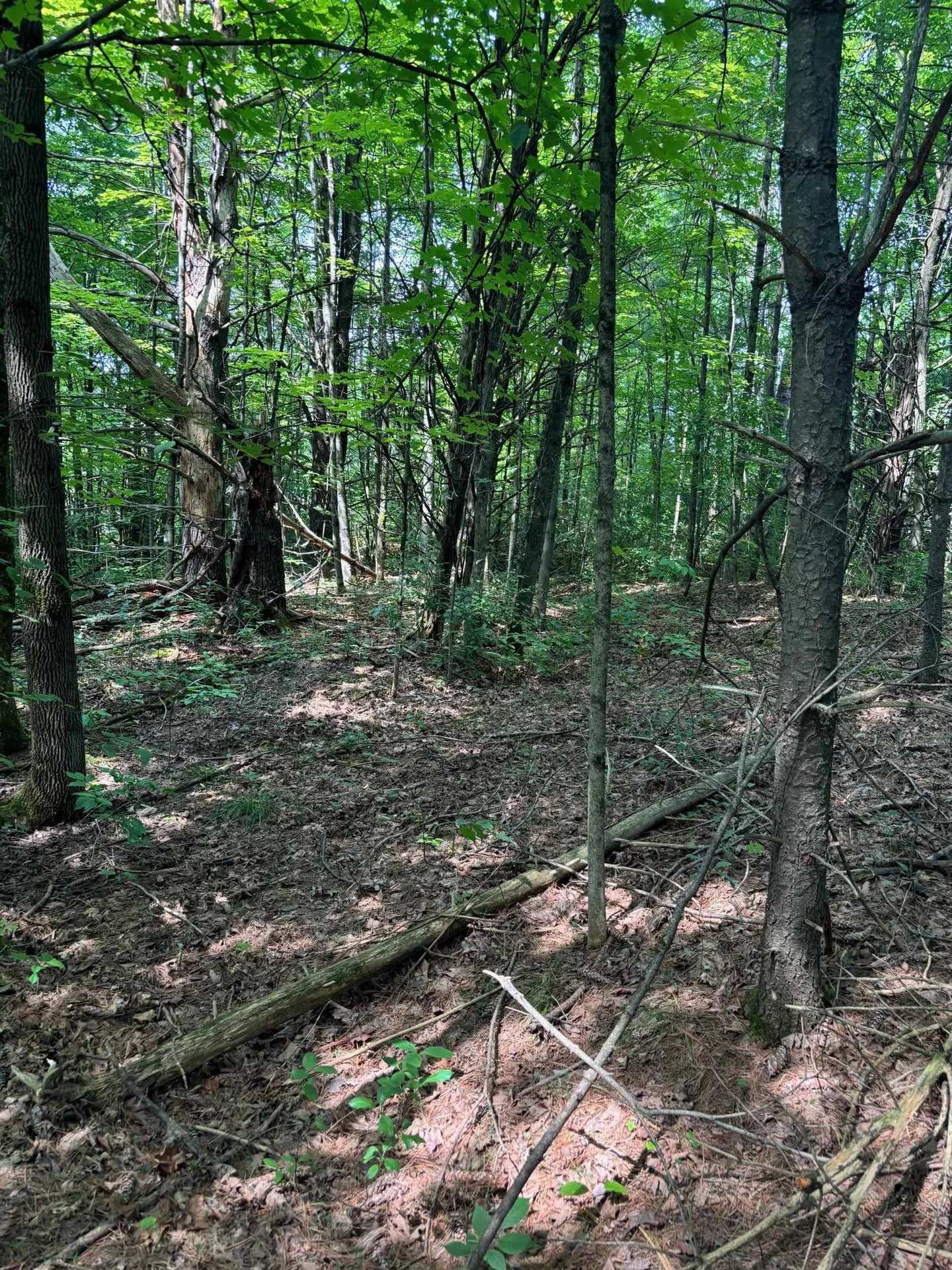 0 Manley Road Milton VT 05468