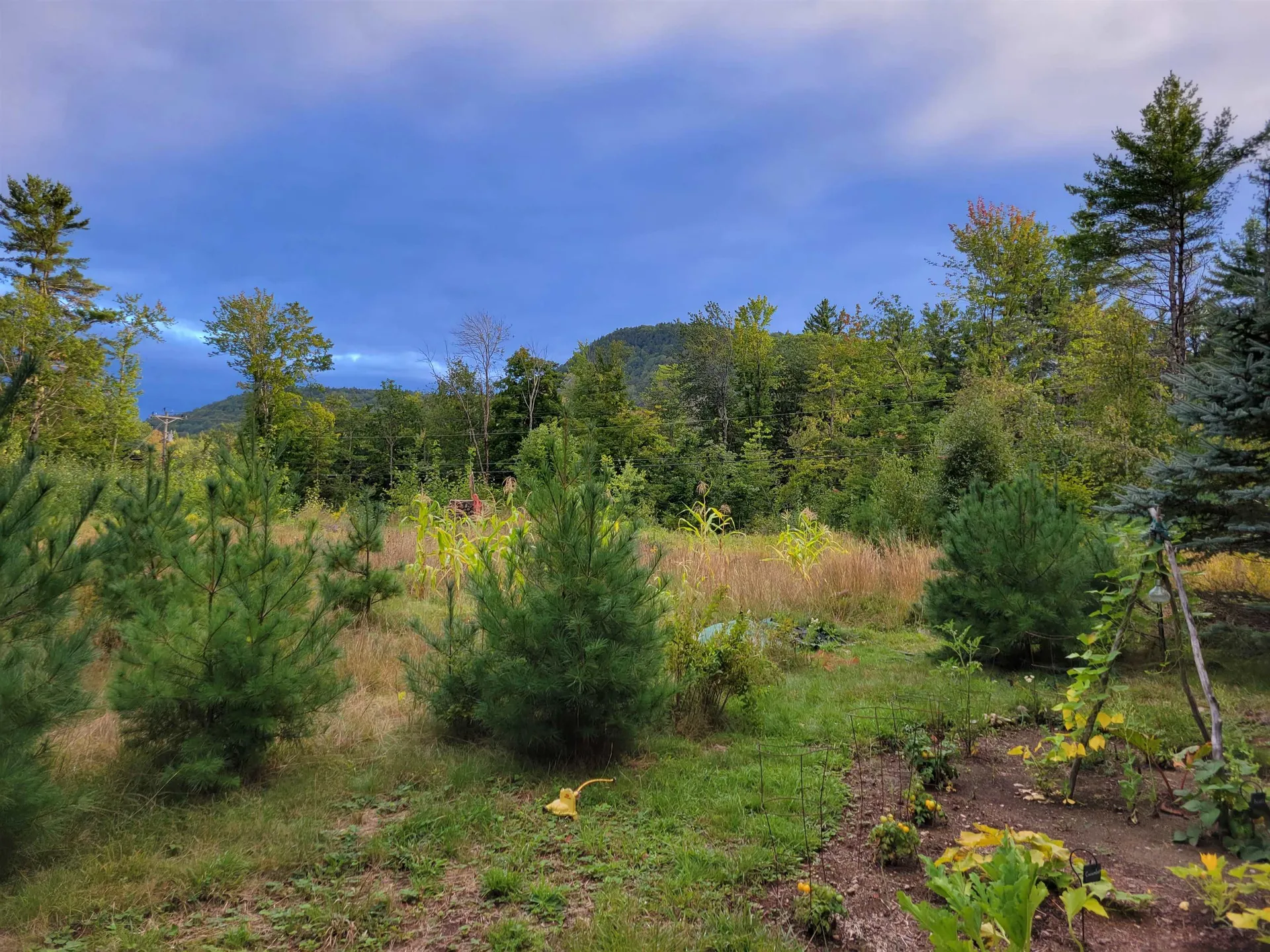 245 Browns Ridge Road Ossipee NH 03864