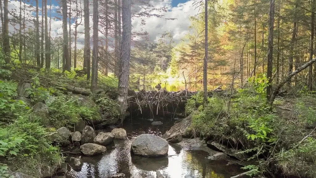 1024 Miller Pond Road Grantham NH 03753