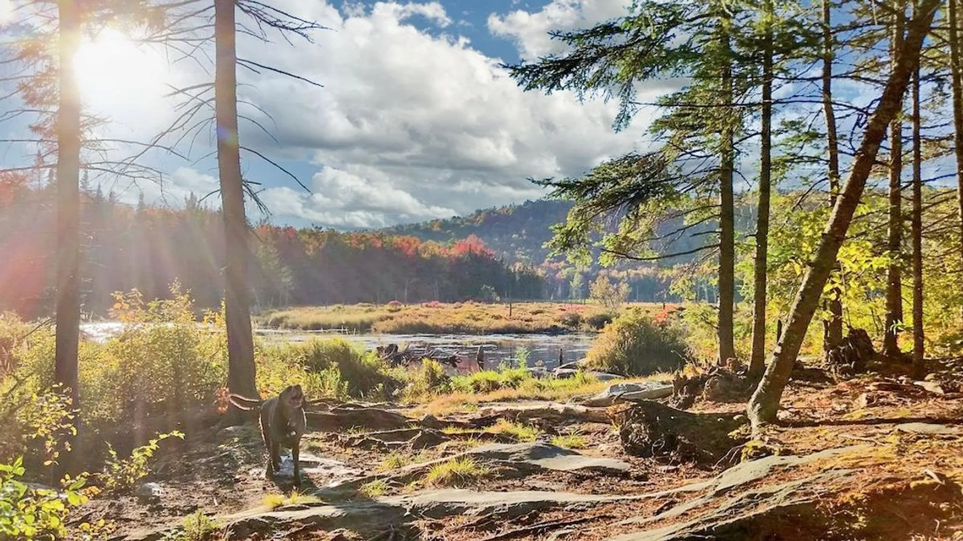 1024 Miller Pond Road Grantham NH 03753