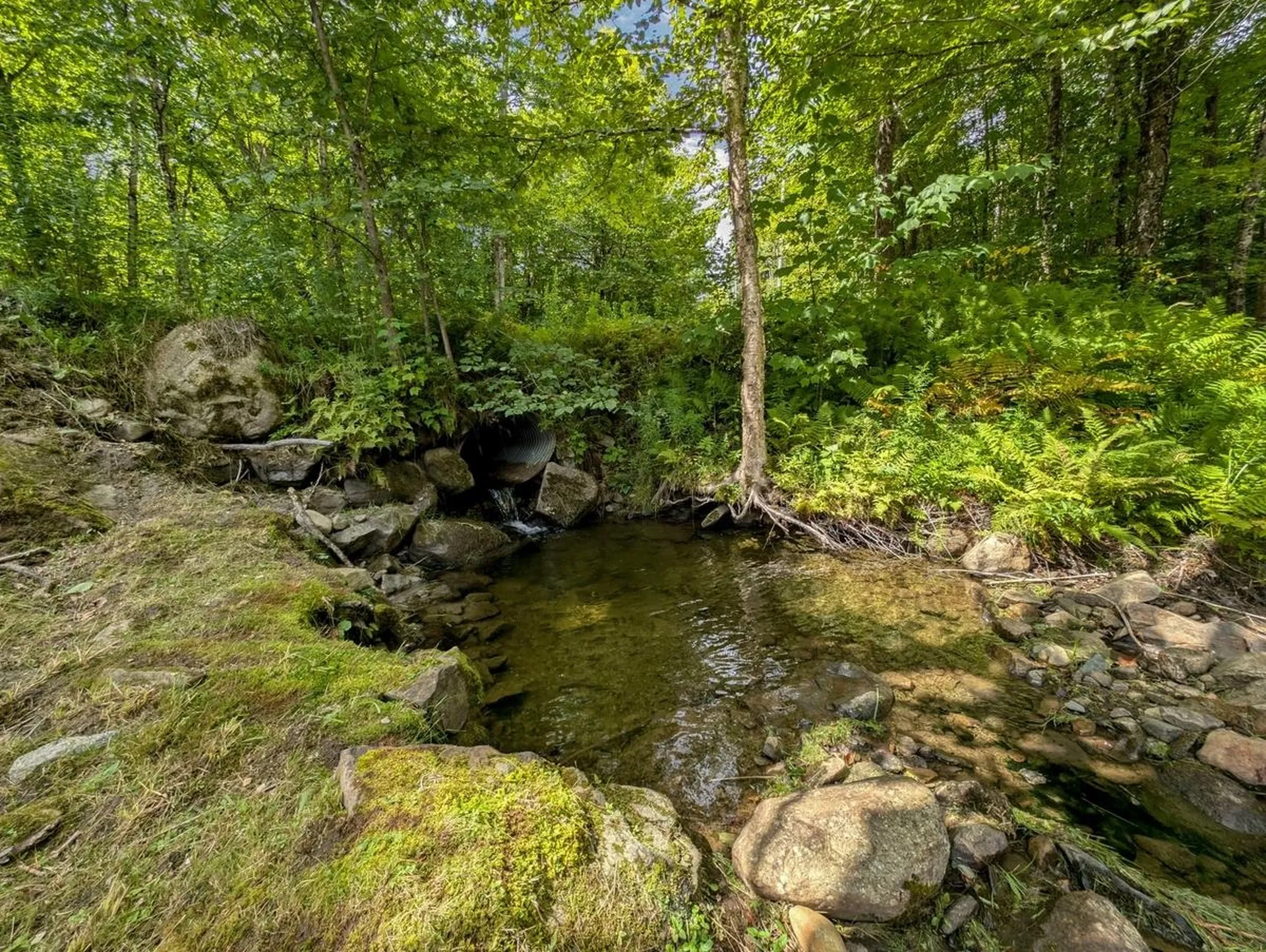 1024 Miller Pond Road Grantham NH 03753