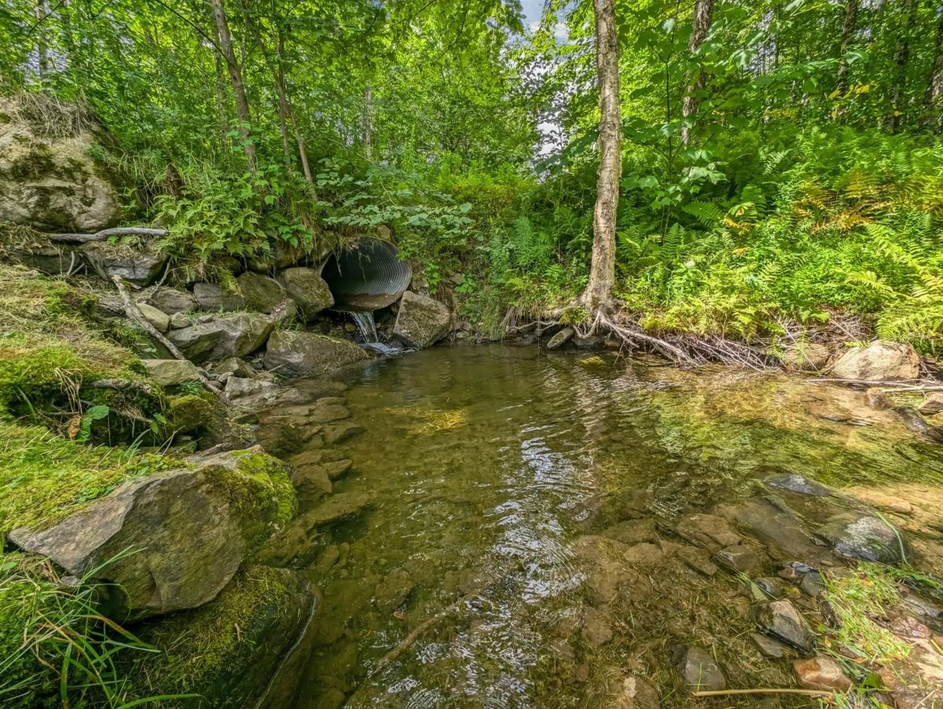 1024 Miller Pond Road Grantham NH 03753