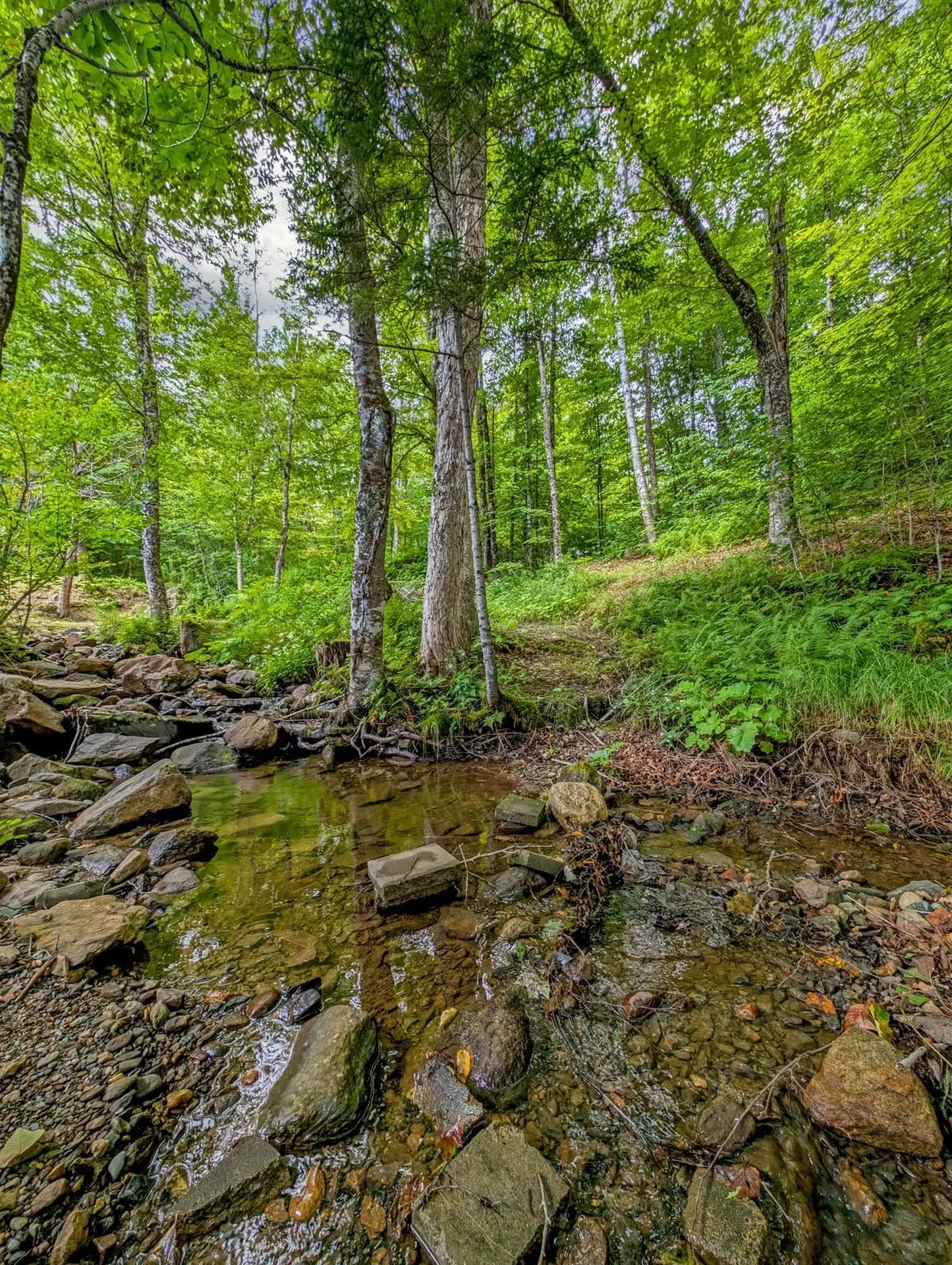 1024 Miller Pond Road Grantham NH 03753