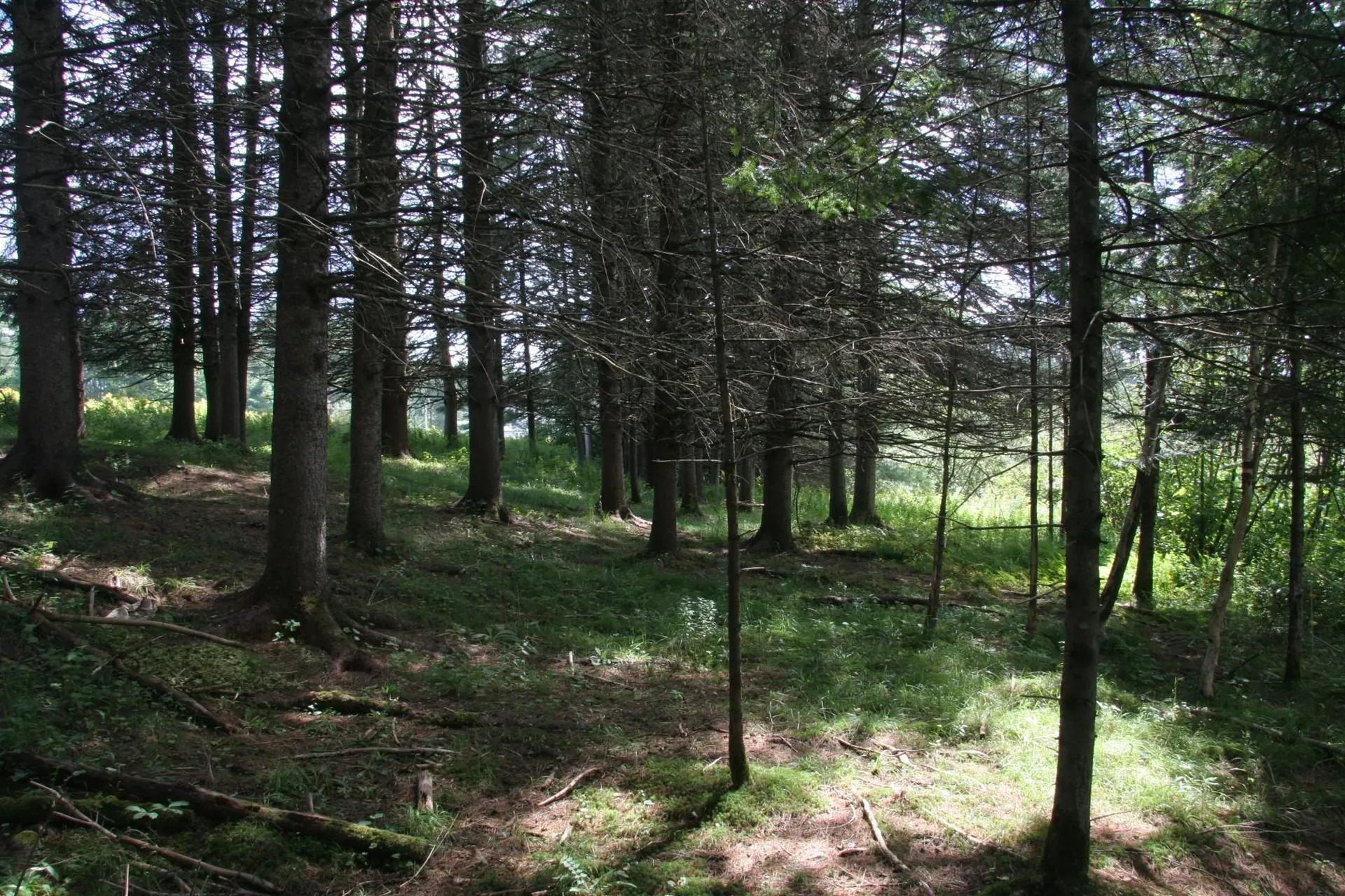 659 Lynburke Road Lyndon VT 05851