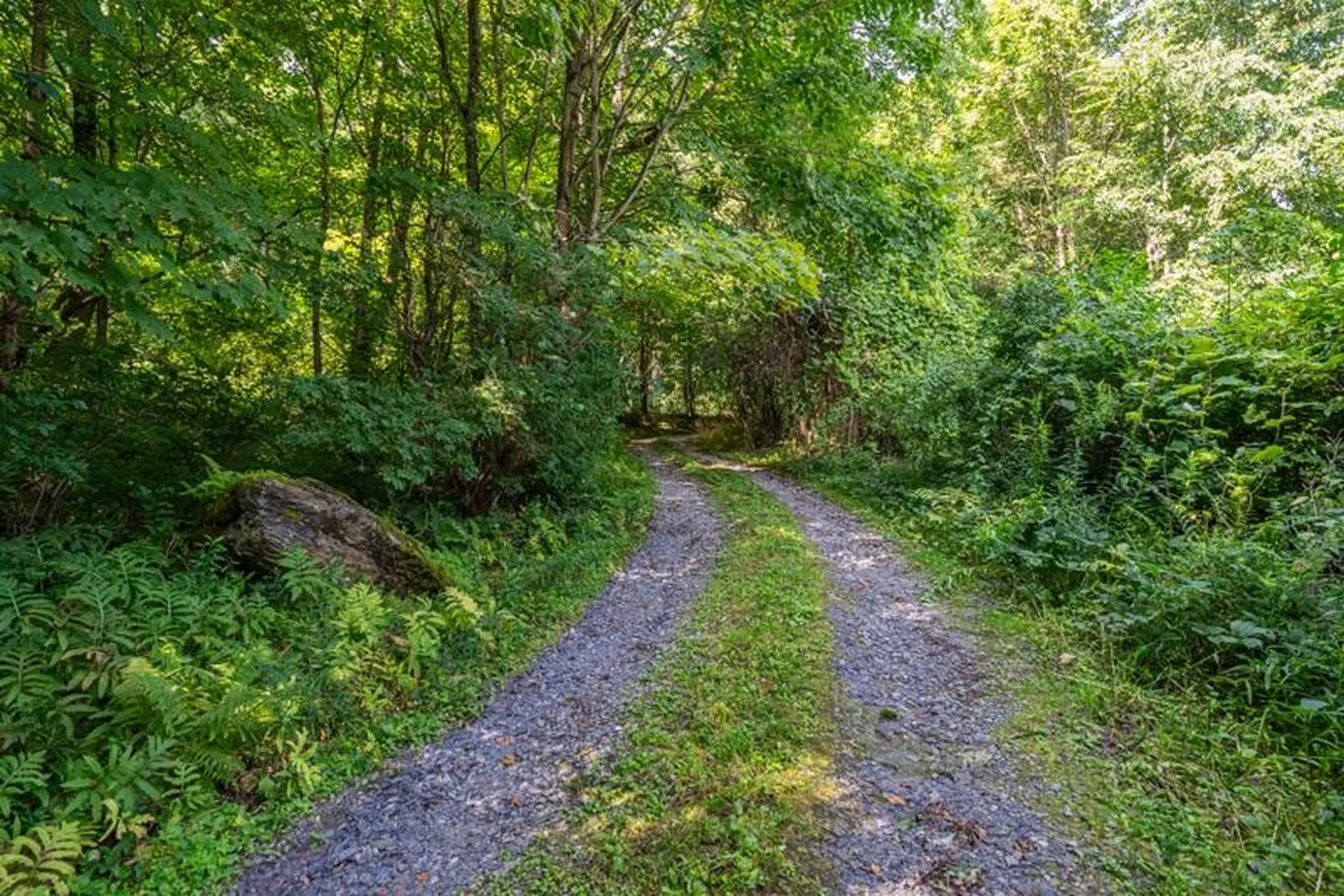 3131 Dorset West Road Dorset VT 05251