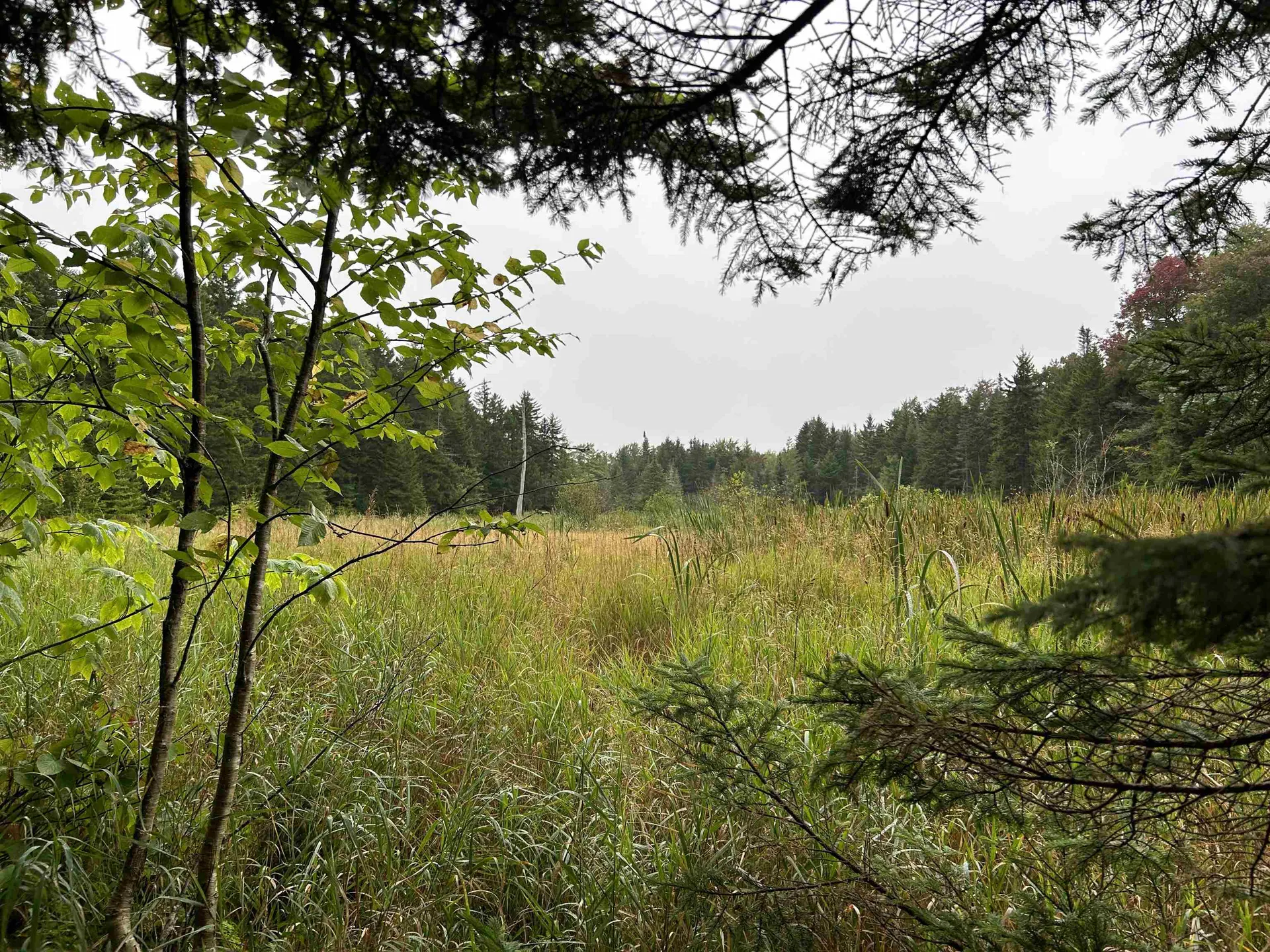 1625 Vt Route 9 Searsburg VT 05363