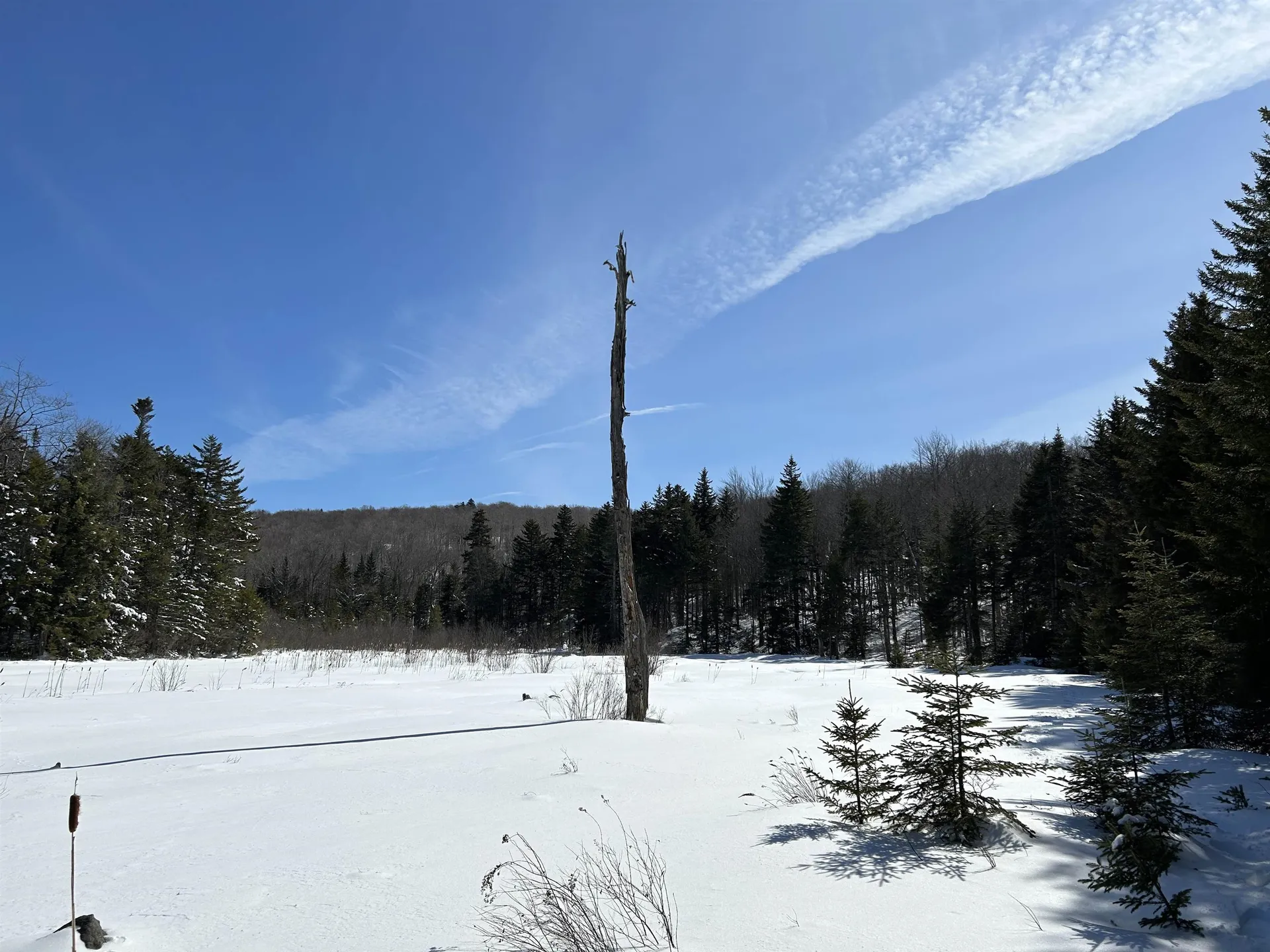 1625 Vt Route 9 Searsburg VT 05363